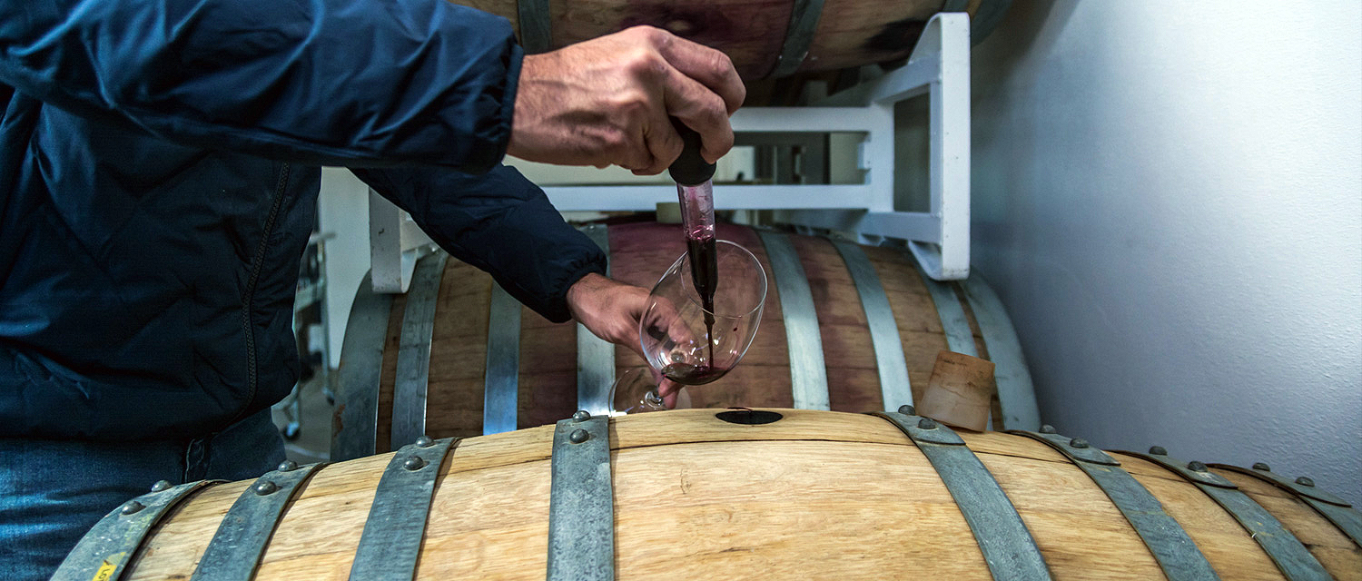 wine banner